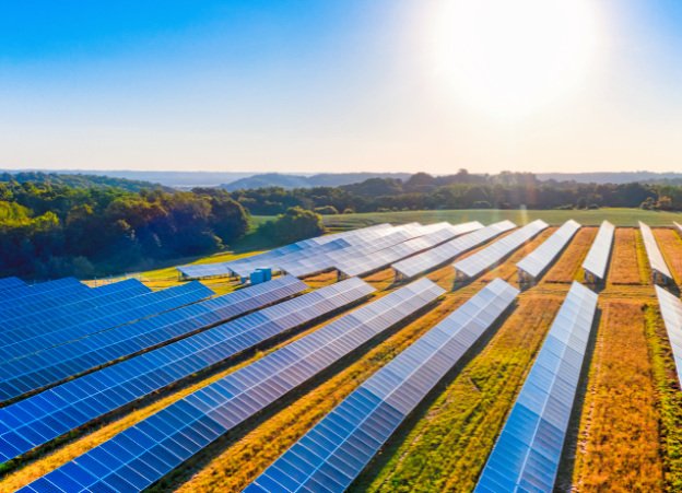 Solar panels and rice paddies