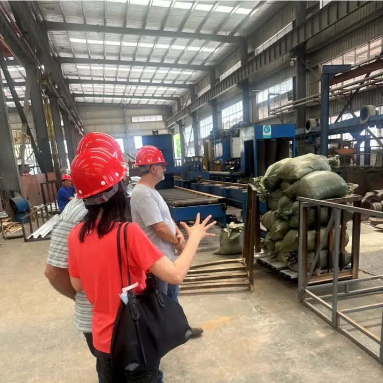 Partners come to visit the factory