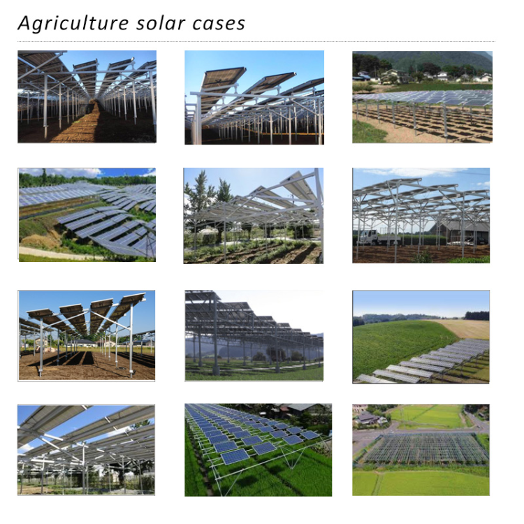 Agricultural solar ground support system