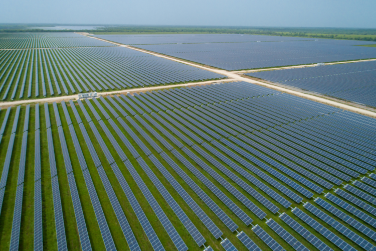 Brazilian Solar Panel Farm