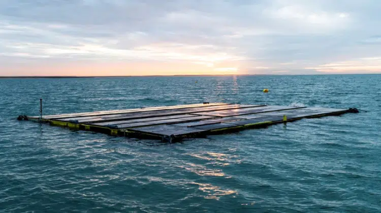 Floating solar systems at sea