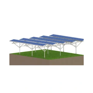 agrivoltaic farming Agrivoltaic Farming